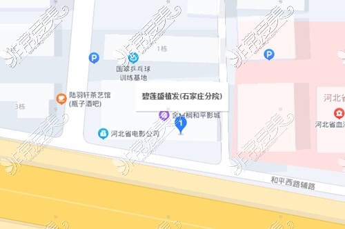 石家庄碧莲盛植发百度地图