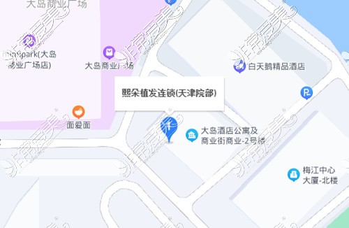 天津朵植发百度地图