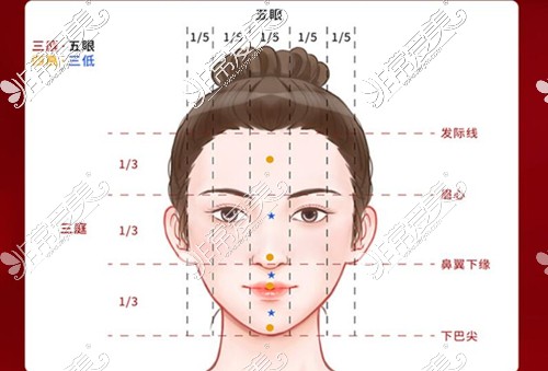 三庭五眼标准示意图