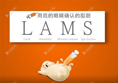 韩国365mc医院lams吸脂漫画示意图