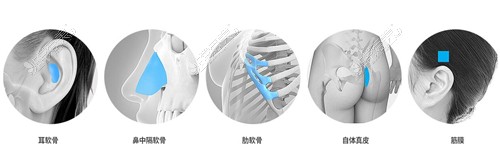 韩国VG百利酷整形医院自体隆鼻材料