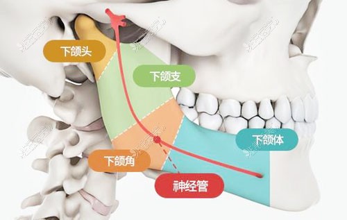 韩国TS整形外科轮廓手术特点分析