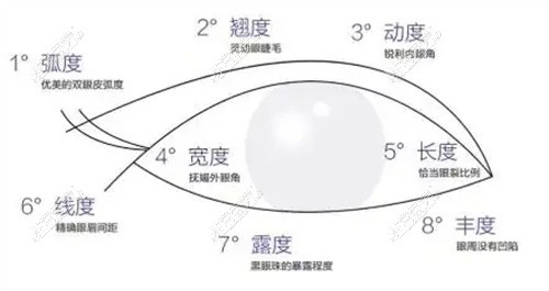 眼型对比图