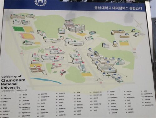 韩国国立忠南大学布局