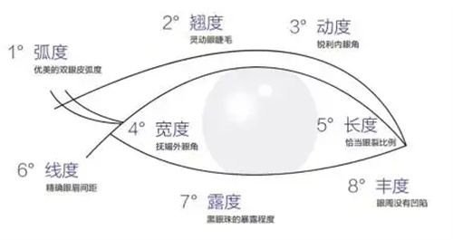 双眼皮设计图