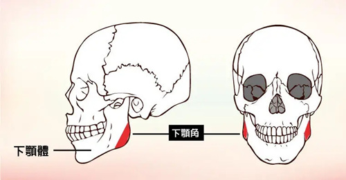 下颌角手术选韩国还是国内