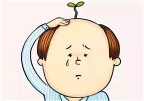 为什么说植发后6个月难熬？看完植发恢复过程就了解啦！