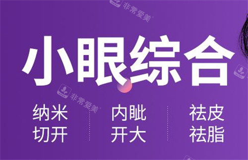 小眼綜合 小眼綜合