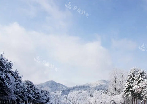 韓國南怡島雪景