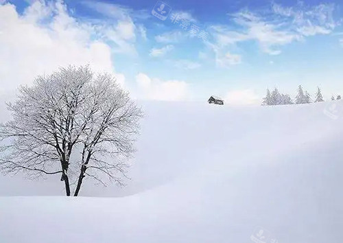 韓國大關(guān)嶺牧場雪景