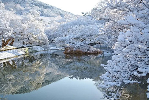 韩国潭阳雪景