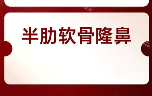 半肋軟骨隆鼻 半肋軟骨隆鼻
