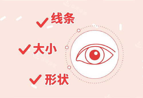眼睛整形考慮因素圖示 眼睛整形考慮因素圖示