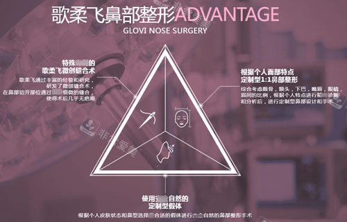 歌柔飛鼻子整形特點圖解 歌柔飛鼻子整形特點圖解