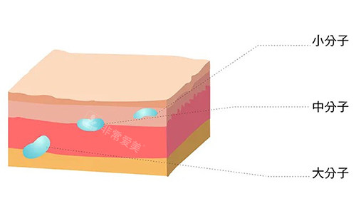 玻尿酸大中小分子