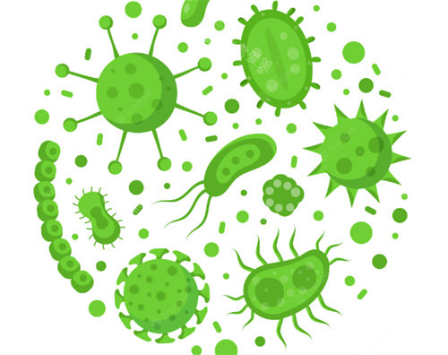 细菌病毒卡通图