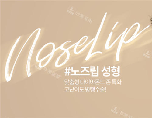 韓國(guó)noselip整形外科宣傳圖 韓國(guó)noselip整形外科宣傳圖