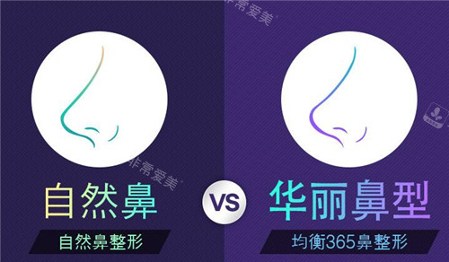 自然鼻華麗鼻對(duì)比示意圖 自然鼻華麗鼻對(duì)比示意圖