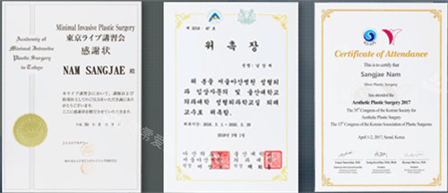 歌柔飛胸部手術(shù)榮譽(yù)證書 歌柔飛胸部手術(shù)榮譽(yù)證書
