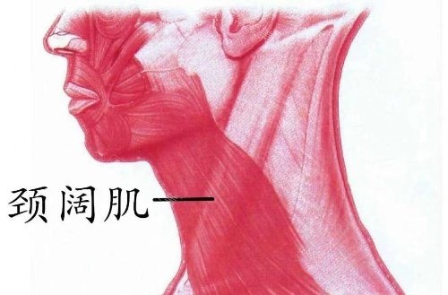 西安国际医学#2Y*&x*b整形医院颈阔肌成形术 西安国际医学#2Y*&x*b整形医院颈阔肌成形术