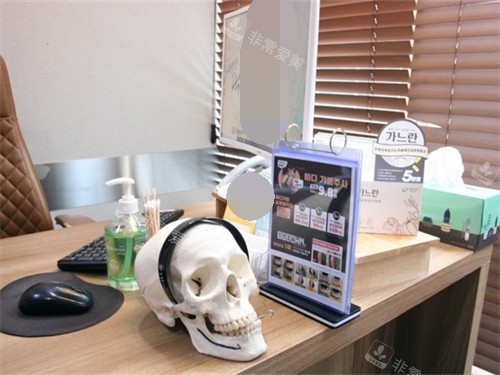 韩国绮林整形外科医院商谈室头骨模型