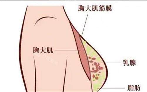 聊聊我去韩国芙莱思整形医院做自体脂肪丰胸的那些事