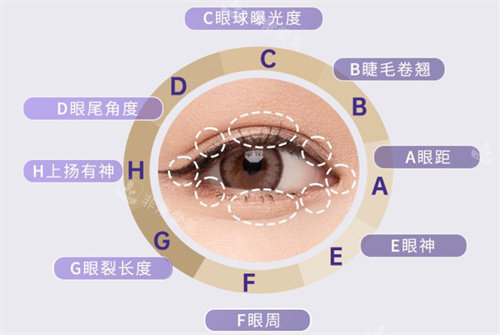 眼部整形八大維度示意圖 眼部整形八大維度示意圖