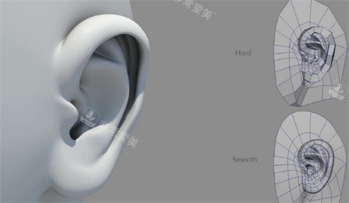 动画展示耳朵畸形的原因