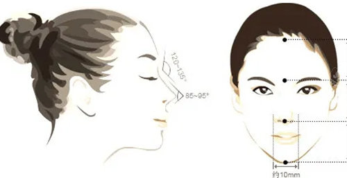 鼻部美学设计图
