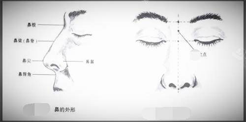 新疆黎美整形医院鼻整形图 新疆黎美整形医院鼻整形图