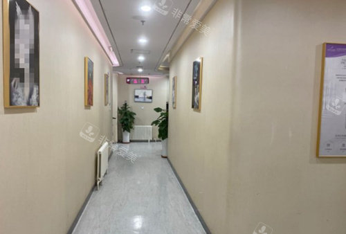 石家莊美萊整形院內(nèi)一角 石家莊美萊整形院內(nèi)一角