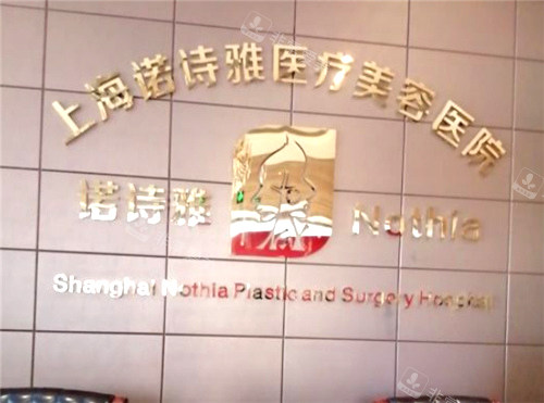 上海諾詩雅醫(yī)療美容醫(yī)院logo 上海諾詩雅醫(yī)療美容醫(yī)院logo