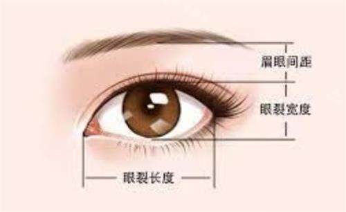 韓國(guó)來麗醫(yī)院眼部整形圖 韓國(guó)來麗醫(yī)院眼部整形圖