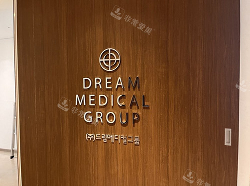 韩国dream梦想整形logo墙照片