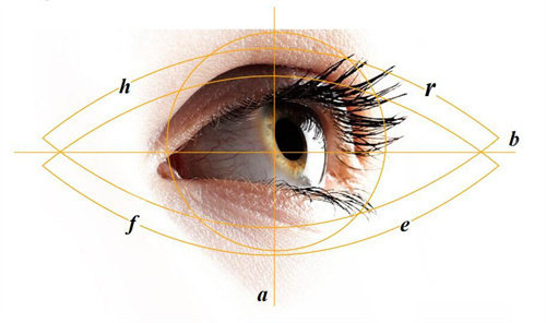 韩国芭堂双眼皮设计图
