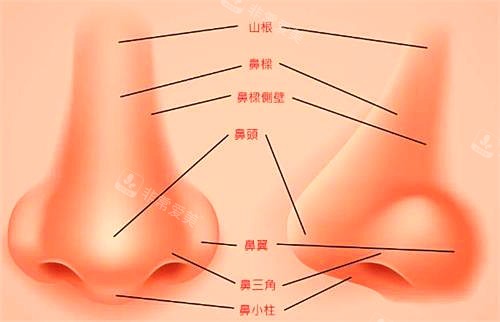 新疆整形医院鼻部整形图