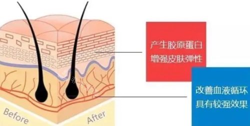 皮肤好的状态