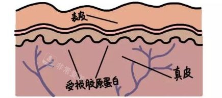 乌鲁木齐伊丽莎白整形医院注射医美图