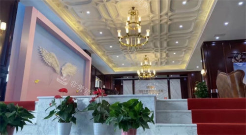 青岛华韩整形内部环境展示图 青岛华韩整形内部环境展示图