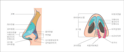 韩国鼻子做得好的整形医院推荐温度整形,顾客好评就是证明