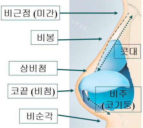 鼻子设计需要考虑的方面图示