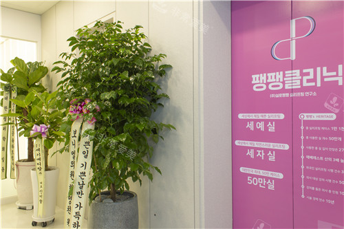 韩国Pangpang整形外科环境展示