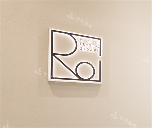 韩国ROI整形外科logo