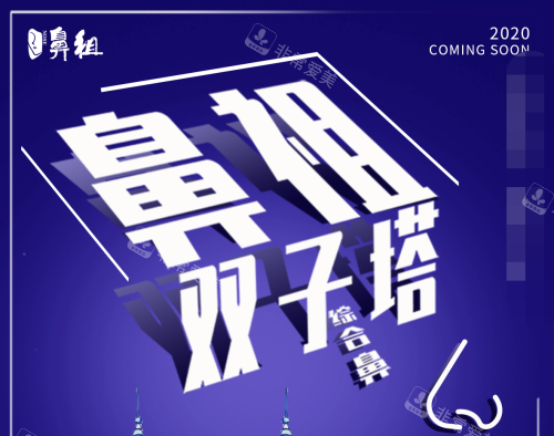 双子塔综合隆鼻示意图 双子塔综合隆鼻示意图
