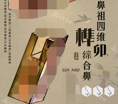 南京鼻祖四维榫卯综合鼻 南京鼻祖四维榫卯综合鼻