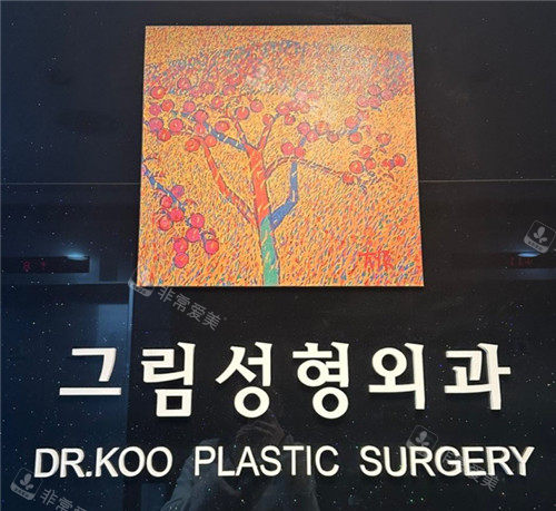 韩国格林整形外科logo墙
