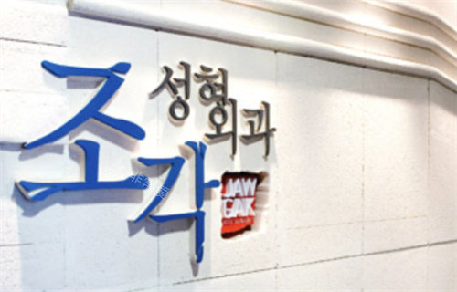 韓國(guó)雕刻整形外科標(biāo)識(shí)展示圖 韓國(guó)雕刻整形外科標(biāo)識(shí)展示圖