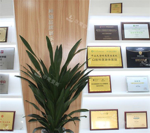 珠海九龍口腔展示墻照片 珠海九龍口腔展示墻照片