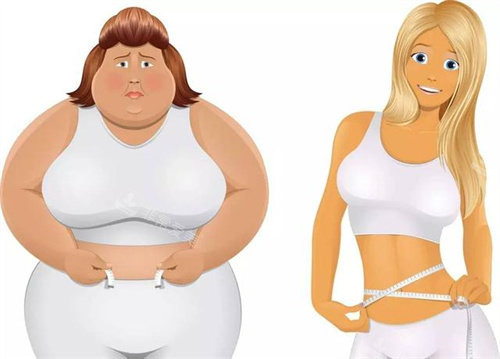 减肥对比壁纸图片