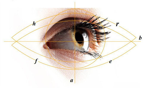 眼部整形维度图